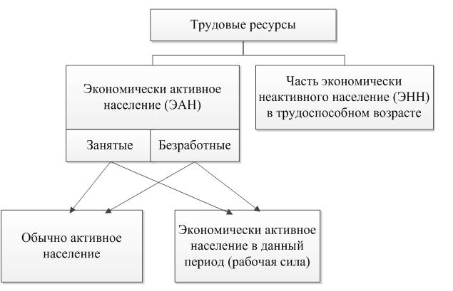 Прокомментируйте схему состав трудовых ресурсов россии на начало 2019 года география 8 класс