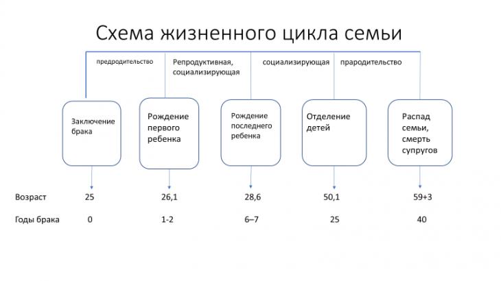 Схема жизненный цикл семьи